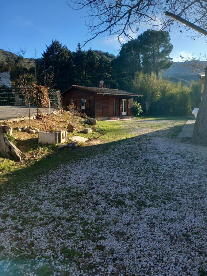 Petit Chalet En Bois Reynès Zewnętrze zdjęcie